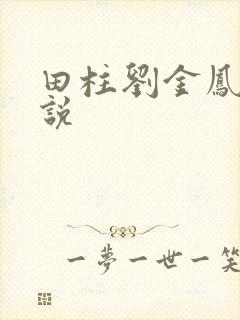 田柱刘金凤的小说
