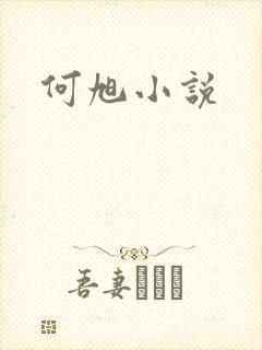 何旭小说