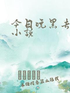 今日晚黑去见你小说
