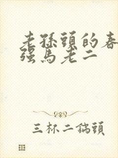 老孙头的春天马强马老二