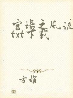 官场之风流人生txt下载