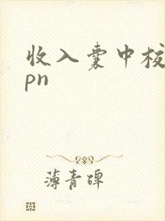 收入囊中校园hpn