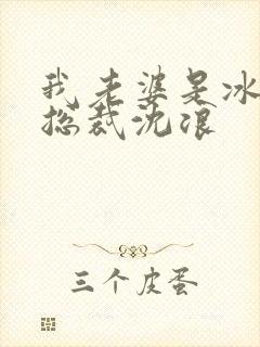 我老婆是冰山女总裁沈浪