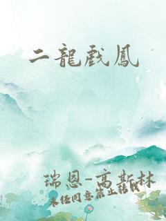 二龙戏凤
