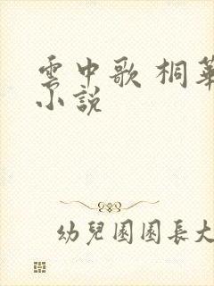 云中歌 桐华 小说