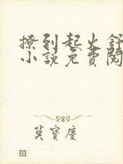 撩到起火舒漾的小说免费阅读全文