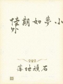 佳期如梦小说番外