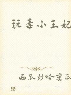 玩毒小王妃