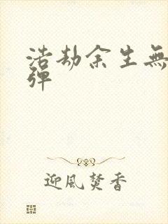 浩劫余生无限子弹