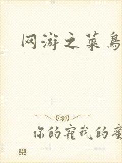 网游之菜鸟高手