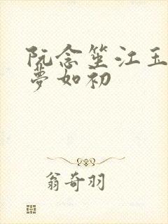 阮念笙江玉楼回梦如初