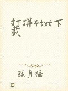 打拼4txt下载