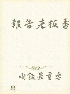 报告老板番外篇