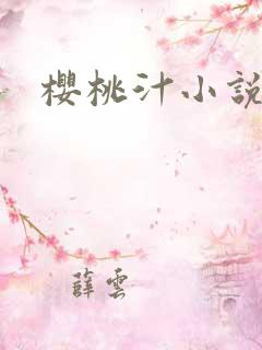 樱桃汁小说