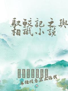 驭鲛记之与君初相识小说