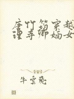 唐竹筠穿越成大理寺卿嫡女的小说