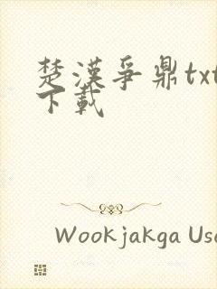 楚汉争鼎txt下载