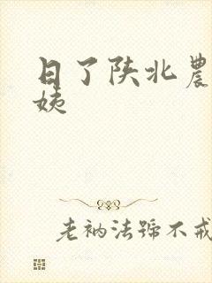 日了陕北农村婆姨