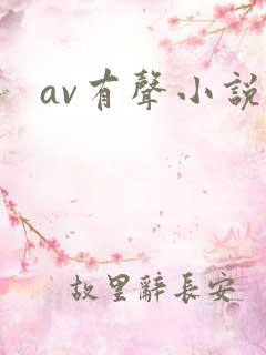 av有声小说