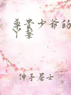 尊贵少爷的大牌丫鬟