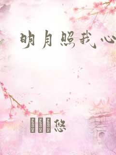 明月照我心小说
