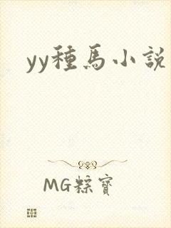yy种马小说