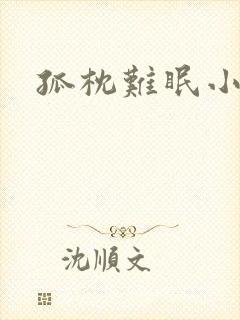 孤枕难眠小说