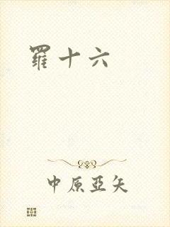 罗十六