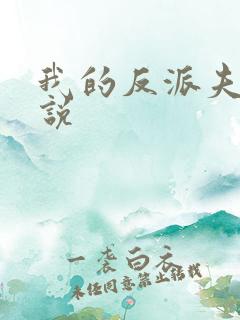 我的反派夫君小说