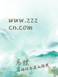 www.zzzcn.com
