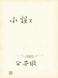 小说x