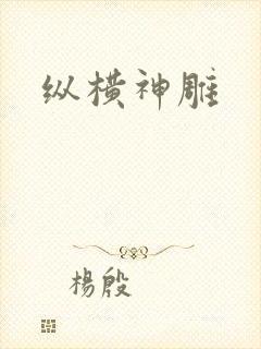 纵横神雕