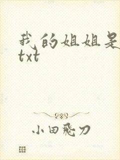 我的姐姐是美女txt