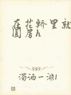 在花轿里就开始圆房h