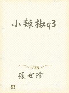 小辣椒q3