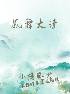 凤舞大清