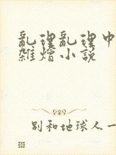 乱理乱理中文大杂烩小说