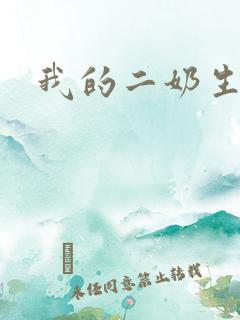 我的二奶生涯
