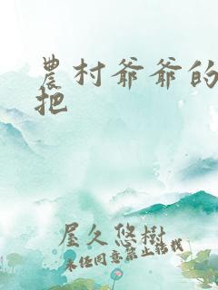 农村爷爷的大几把