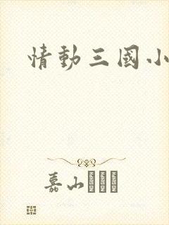 情动三国小说
