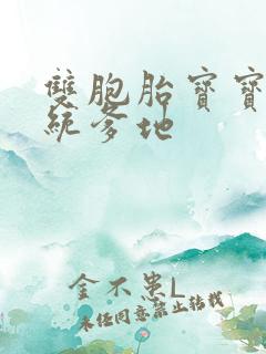 双胞胎宝宝的总统爹地