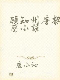 顾知州唐黎叫什么小说