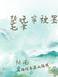 楚晚宁被墨燃塞毛笔