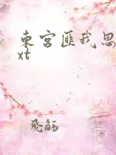 东宫匪我思存txt