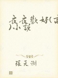 夜夜欢好(高h)小说