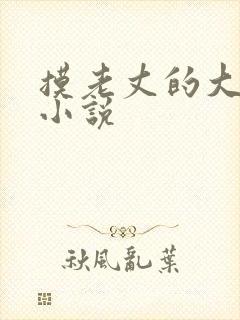 摸老丈的大牛子小说
