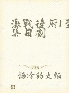 激战后厨1至5集日剧