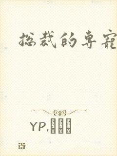 总裁的专宠床奴