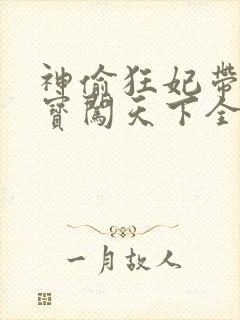 神偷狂妃带着宝宝闯天下全文免费阅读