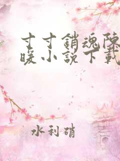 寸寸销魂陈聪王暖小说下载